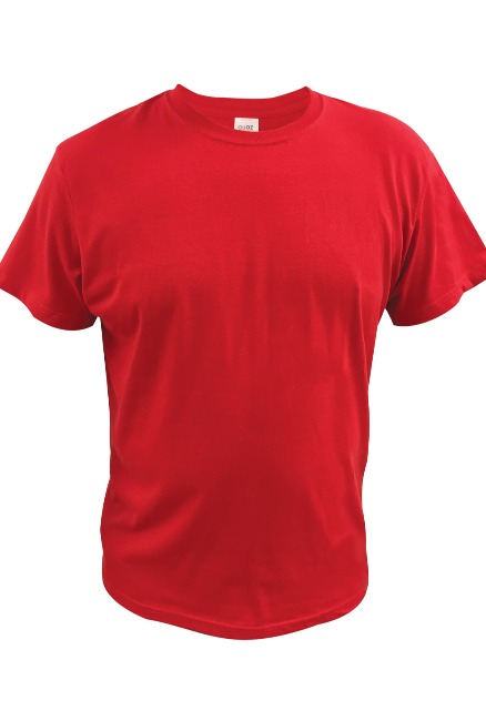 just blanks shirts